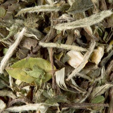Thé Blanc - Great Earl Grey Thé Blanc - Great Earl Grey