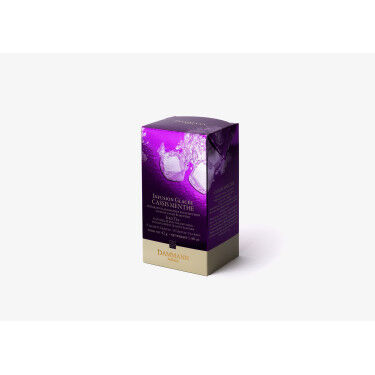 Infusion glacée Carcadet Cassis Menthe , Boîte de 6 sachets