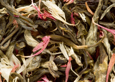 White tea - Christmas Tea Blanc