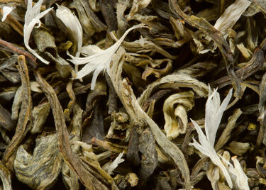 White tea - BLANC MYRTILLE