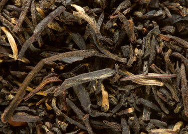 KG SMOKEY CROCODILE SAC 1 KG