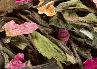 Thé Blanc - Pêchers en fleurs