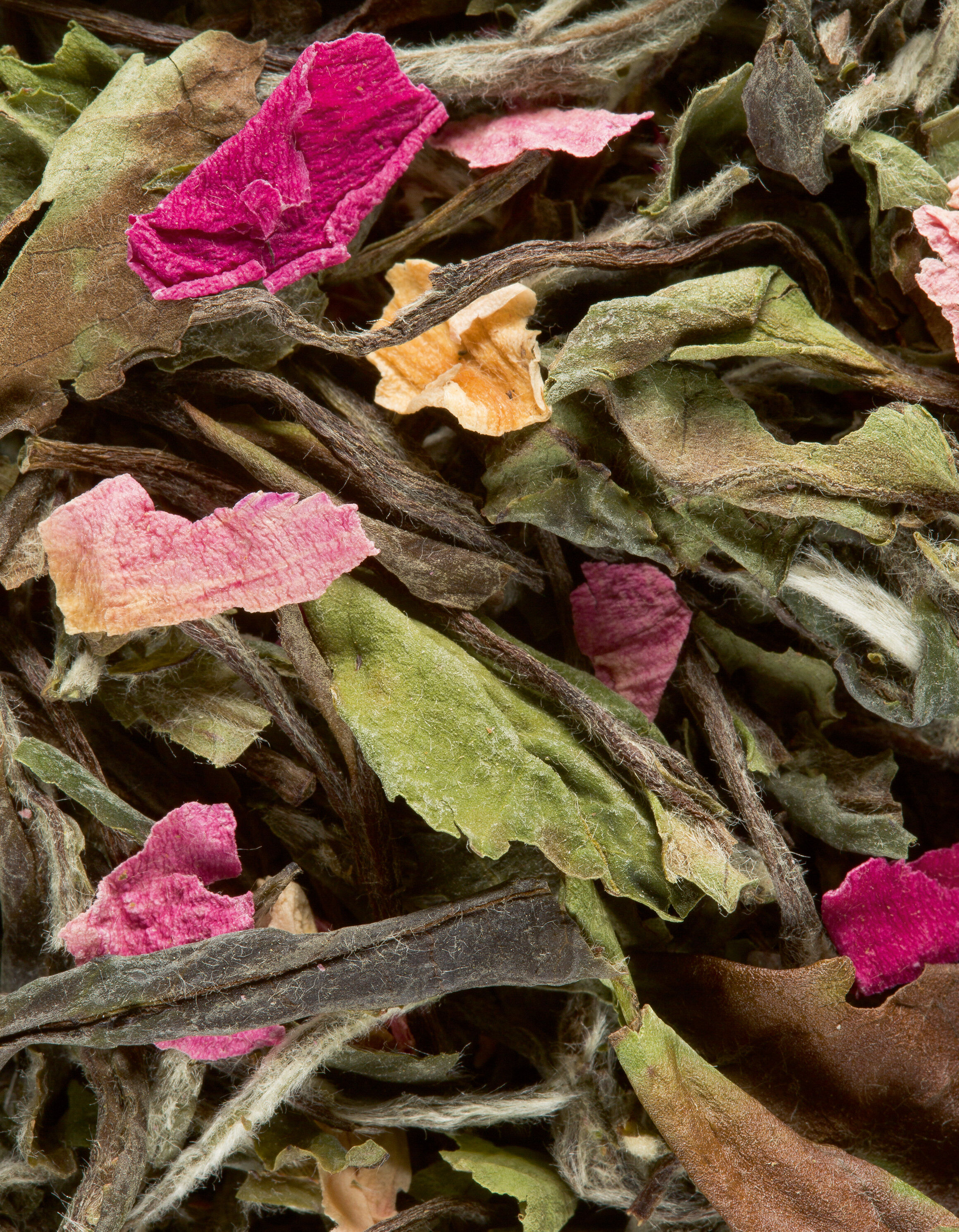 les fleurs de thé blanc en coffret cadeau (12 fleurs) - Tea zen