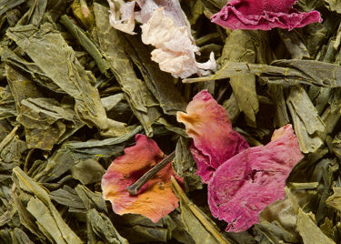 Thé Vert - PRINTEMPS ÉTERNEL