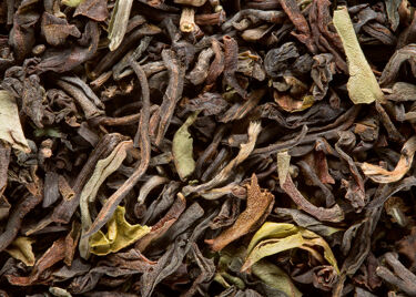 Tea from India - Darjeeling Jungpana G.F.O.P. 2nd flush