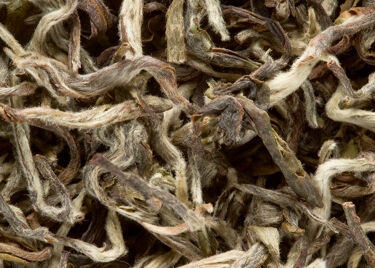 Tea from Nepal - Himalaya Shangri-La