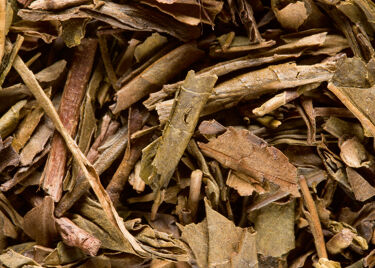 Tea from japan - Houjicha