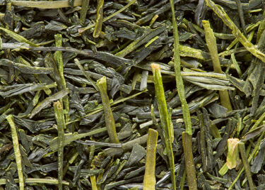 Tè giapponese - Sencha Tensū