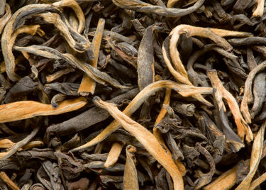 Thé de Chine - Grand Yunnan G.F.O.P. supérieur