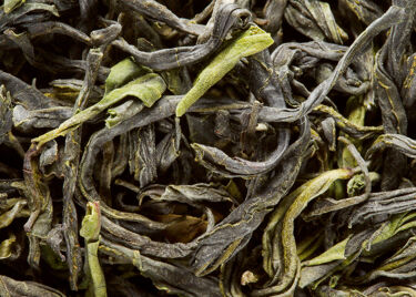 Tea from China - Printemps sur le Lac