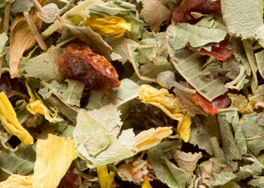 Herbal tea - Tisane de la Reyne