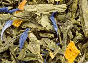 Thé Vert - Jardin Vert