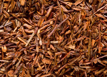 Rooibos Cederberg