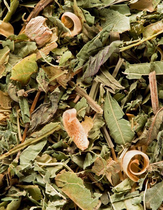 Dammann Frères Tisane des Merveilles Herbal Loose Tea 45g - Plants  infusions - Le Comptoir Irlandais