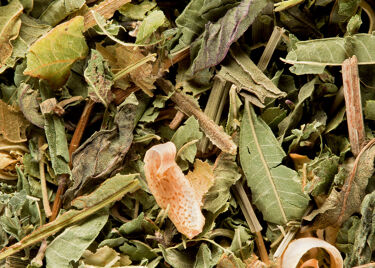 Herbal tea - Tisane du Berger