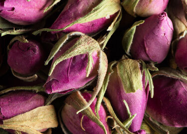 Tisane - Boutons de roses