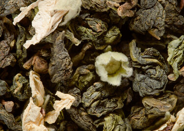 Oolong tea - Week-end à Paris