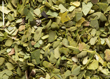 Maté verde