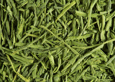 BRUME DE MATCHA, étui 50g
