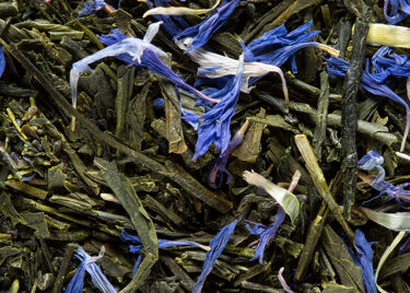 GREEN TEA - FUKUYU MYRTILLE