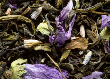 Green tea - ABRICOT LAVANDE