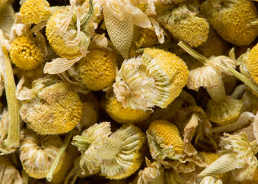 Herbal tea - Camomille