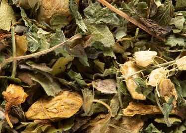 Tisane - Magic Ginger