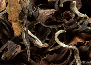 White tea - TORO BLANCO