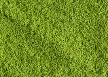Tea from Japan - MATCHA MINAMI YAMASHIRO - BOX OF 20 G
