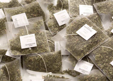 Verbena, box of 25 Cristal® sachets