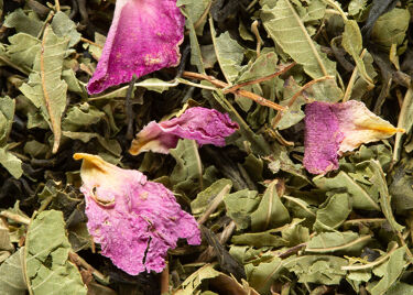 Thé Vert - PÊCHE VERVEINE