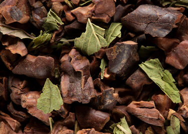 CACAO MENTHE