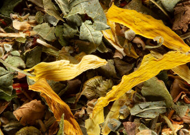 TISANE FRUITS EXOTIQUES