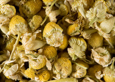 boîte 35g de camomille