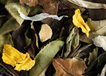 Thé blanc - BELLA BLANCA