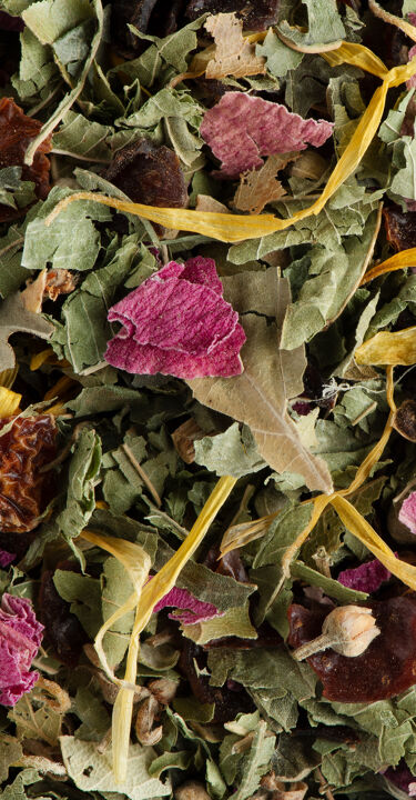 TISANE NUIT À VERSAILLES