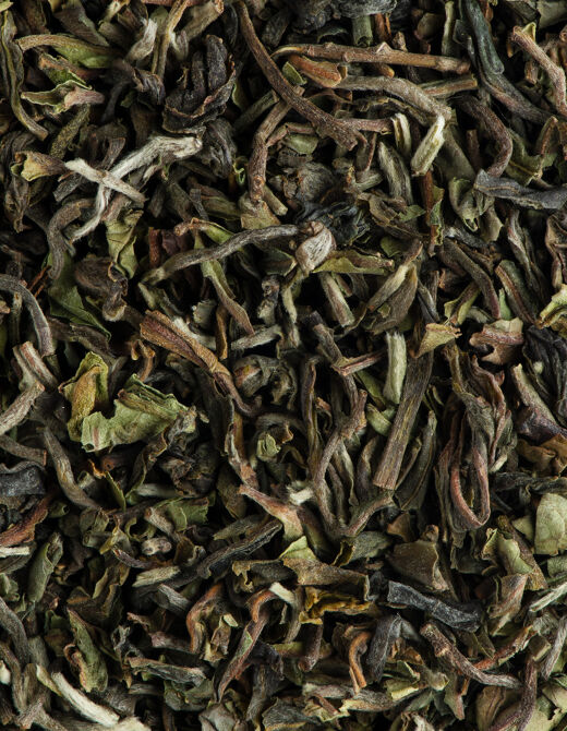 Dammann Freres Loose Leaf, India Darjeeling Premium Gourmet Black French  Tea, Peach, Almond Flavors, 3.52 Ounce Tin