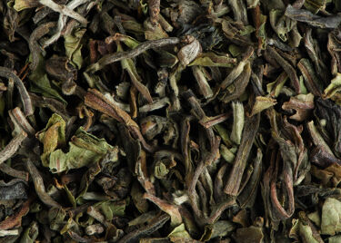 Tea from India - Darjeeling Phuguri 2nd flush T.G.F.O.P.