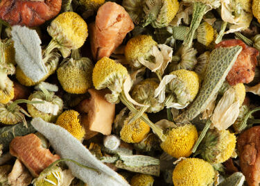 Herbal tea - CHAMOMILLE SAGE