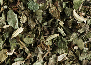 Herbal tea - MINT FENNEL