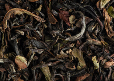 Thé du Népal - Shangri-La