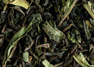 Tea from India - Darjeeling 1st flush2022 MILLIKTHONG F.T.G.F.O.P. Grand cru