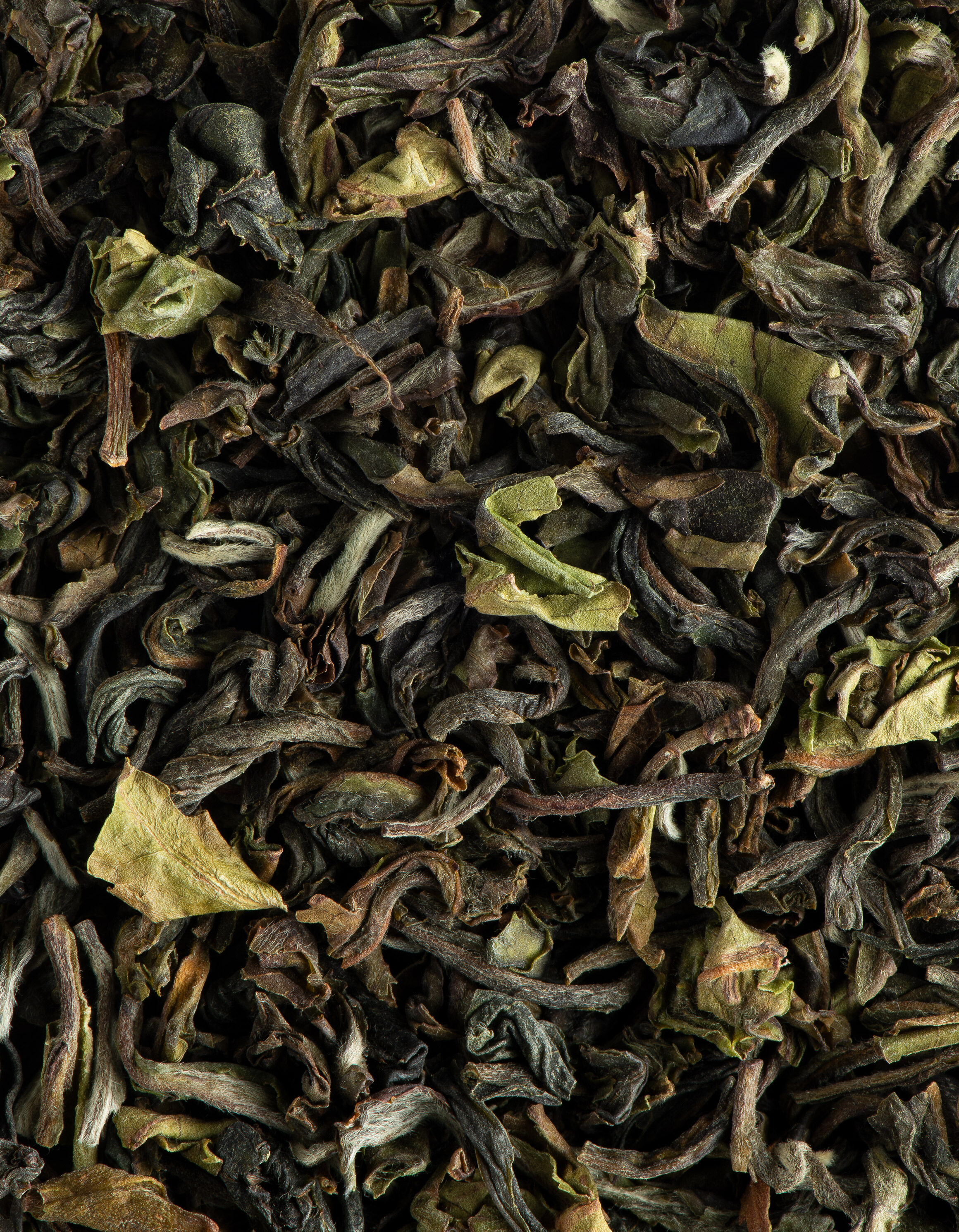 Tea from India - Darjeeling 1st flush PHUGURI F.T.G.F.O.P.