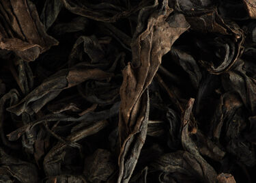 Tea from China - Oolong Da Hong Pao