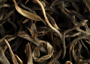 Tea from China - Pu Erh Pasha Big Tree