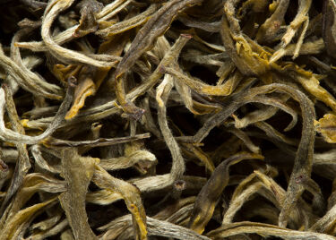 Tea from India - Darjeeling 1st flush Phuguri 2023 Grand Cru