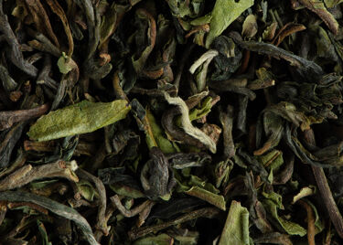 Darjeeling 1st flush Millikthong F.T.G.F.O.P. 2023 Grand Cru