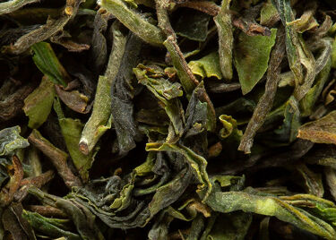 Tea from India - Darjeeling 1st flush GOPALDHARA F.T.G.F.O.P. Grand Cru