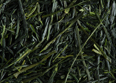 Tea from Japan - Shincha Haruto 2023 - Box of 50g