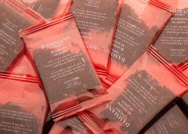 BLOSSOM SEASON, box of 6 sachets for iced tea infusion